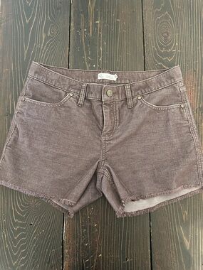 Carve Designs | Oahu Corduroy Shorts, Size 2